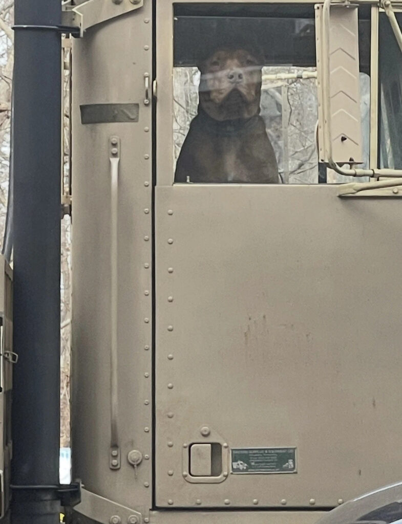 Military Truck